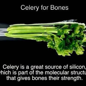 Meet your Posher, Eleo